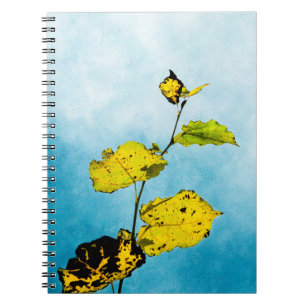 Carnet Feuilles d'automne