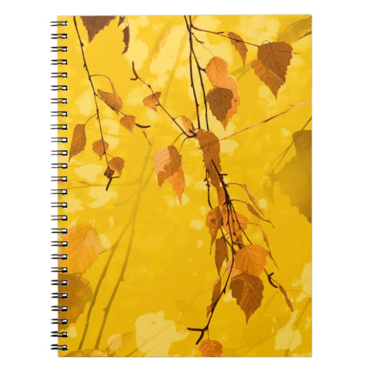 Carnet Feuilles d'automne 3 (Devant)