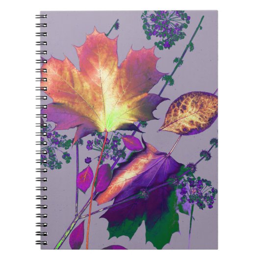 Carnet Feuilles d'automne à Lilac (Devant)