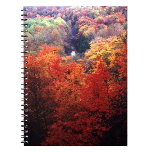 Carnet Feuilles d'automne changeant de couleur (Devant)