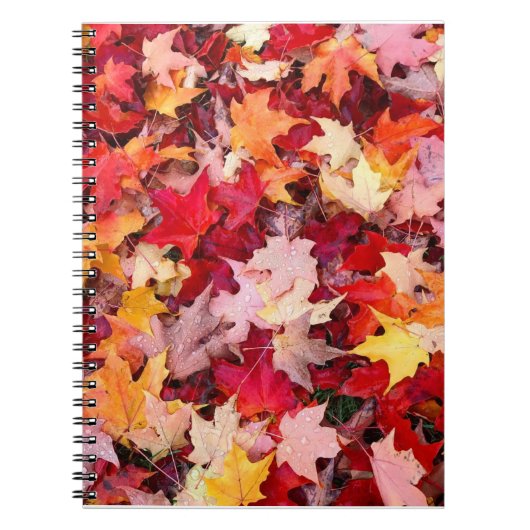 Carnet Feuilles d'automne colorées (Devant)