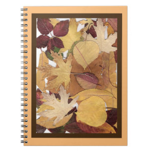 Carnet Feuilles d'automne colorées Collage Brown orange e