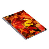 Carnet Feuilles d'automne colorées, feuille d'érable roug (Côté Droit)