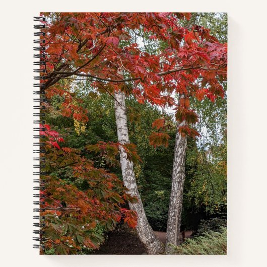 Carnet Feuilles d'automne colorées Photo (Devant)