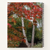 Carnet Feuilles d'automne colorées Photo (Dos)