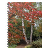 Carnet Feuilles d'automne colorées Photo (Devant)