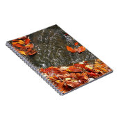 Carnet Feuilles d'automne dans la cascade I Photographie  (Côté Droit)