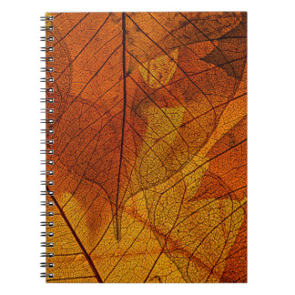 Carnet feuilles d'automne dans les détails automne, arriè