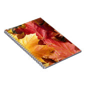 Carnet Feuilles d'automne - Etonnant! (Côté Droit)