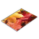 Carnet Feuilles d'automne - Etonnant! (Côté gauche)