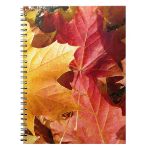 Carnet Feuilles d'automne - Etonnant!