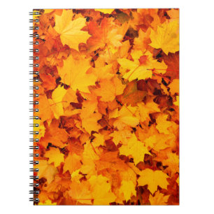 Carnet Feuilles d'automne feuillage feuilles d'automne