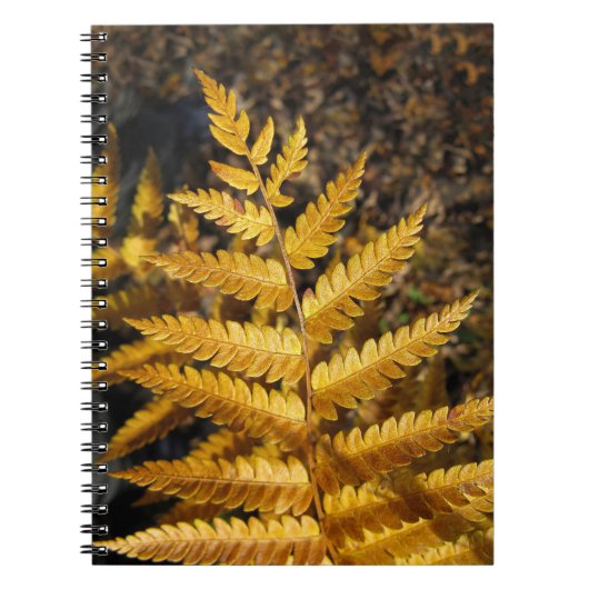 Carnet Feuilles d'automne Golden Ferme Photo (Devant)