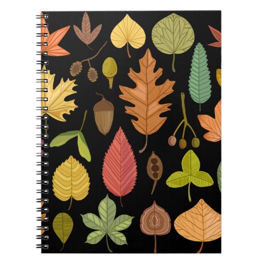 Carnet Feuilles d'automne vintage ensemble isolé sur doss (Devant)