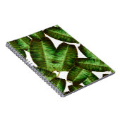Carnet Feuilles de banane tropicale, flore sans soudure d (Côté Droit)