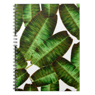 Carnet Feuilles de banane tropicale, flore sans soudure d