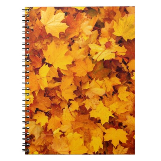 Carnet Feuilles de érable jaune d'automne (Devant)