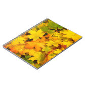 Carnet Feuilles de l'érable d'automne aux couleurs d'auto (Côté gauche)