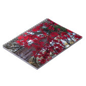 Carnet Feuilles de l'érable rouge et Séquoia géante (Côté gauche)