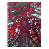 Carnet Feuilles de l'érable rouge et Séquoia géante (Devant)