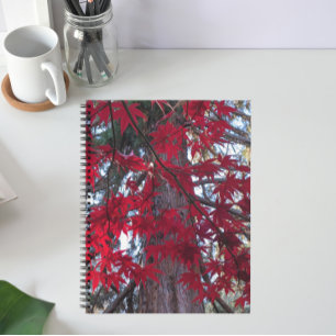 Carnet Feuilles de l'érable rouge et Séquoia géante