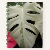 Carnet Feuilles de Monstera Variées Botanique (Devant)
