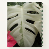 Carnet Feuilles de Monstera Variées Botanique (Dos)