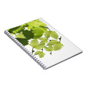 Carnet Feuilles de vigne verte (Côté Droit)