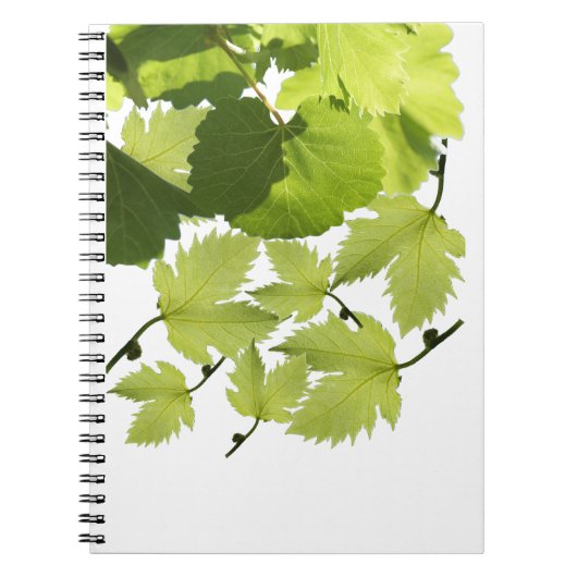 Carnet Feuilles de vigne verte (Devant)