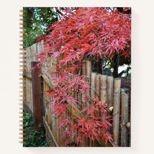 Carnet Feuilles d'érable japonais d'automne et clôture de (Devant)