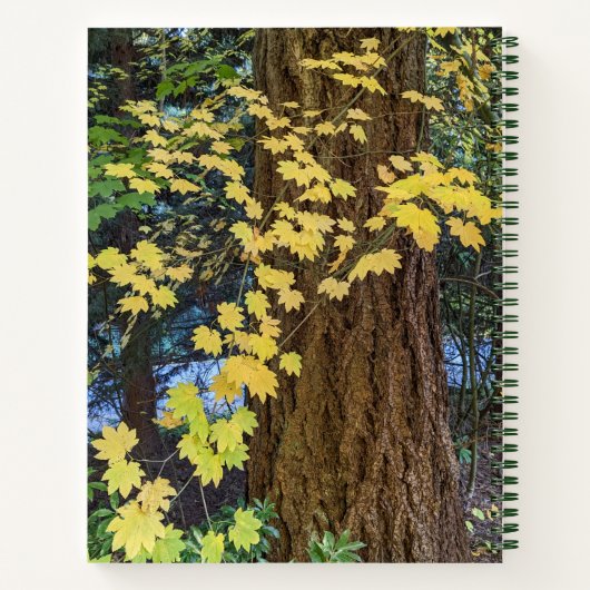 Carnet Feuilles d'érable jaune et Douglas Fir (Dos)