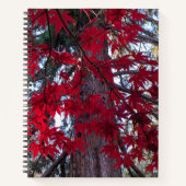 Carnet Feuilles d'érable rouge et Séquoia géant (Devant)