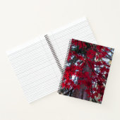Carnet Feuilles d'érable rouge et Séquoia géant (Intérieur)
