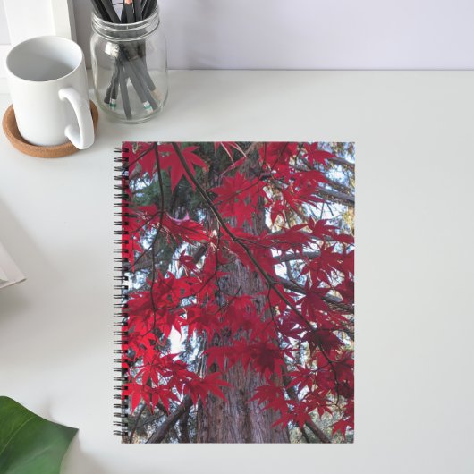 Carnet Feuilles d'érable rouge et Séquoia géant