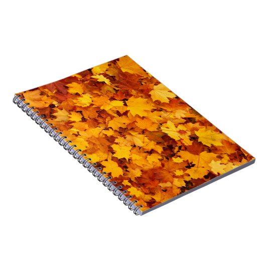 Carnet Feuilles d'été indiens (Côté Droit)