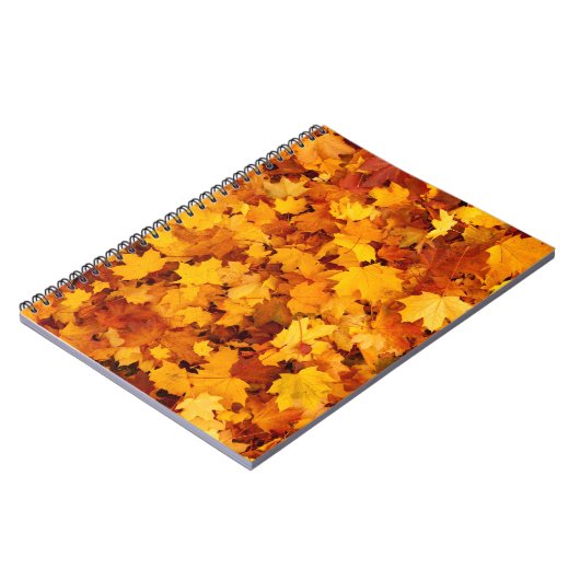 Carnet Feuilles d'été indiens (Côté gauche)