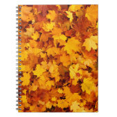 Carnet Feuilles d'été indiens (Devant)