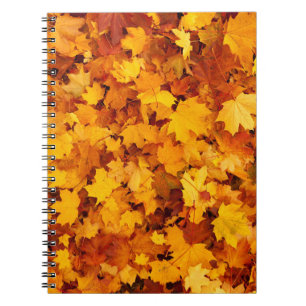 Carnet Feuilles d'été indiens