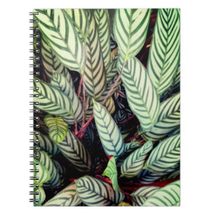 Carnet Feuilles écartés
