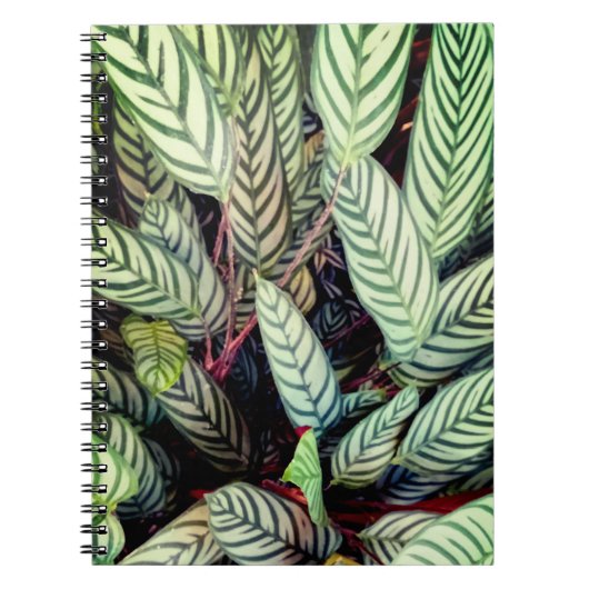 Carnet Feuilles écartés (Devant)