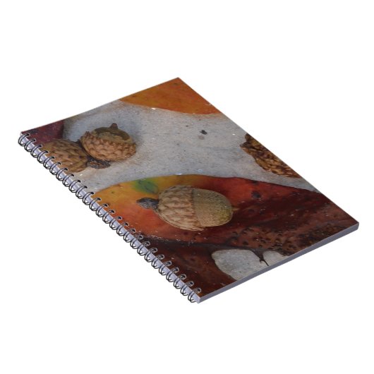 Carnet Feuilles et glands d'automne orange (Côté Droit)