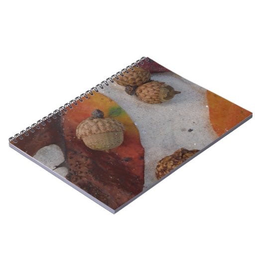 Carnet Feuilles et glands d'automne orange (Côté gauche)