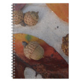 Carnet Feuilles et glands d'automne orange (Devant)