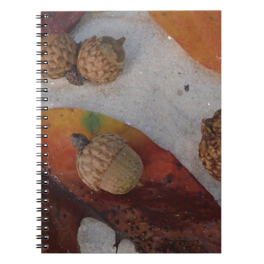 Carnet Feuilles et glands d'automne orange (Devant)