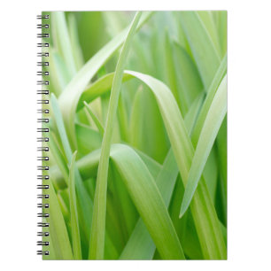 Carnet Feuilles fraîches de plante verte