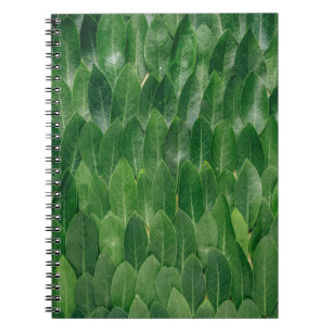 Carnet Feuilles plantes rouges