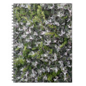 Carnet feuilles printaniers de buissons dans le parc moti (Devant)