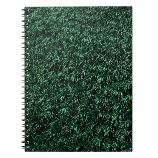 Carnet Feuilles verts (Devant)