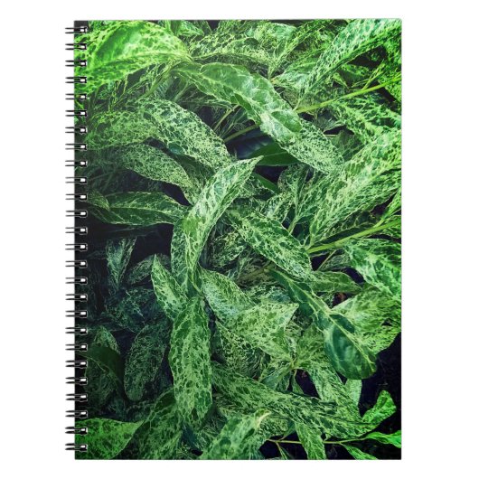 Carnet Feuilles verts (Devant)