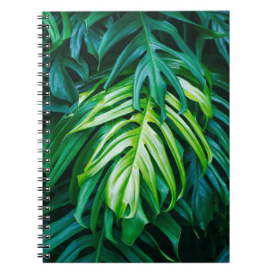 Carnet Feuilles verts tropicaux sur arrière - plan sombre